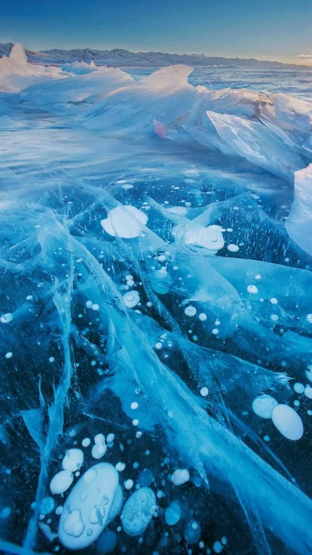 个人可以认购地方债了？有哪些要求？如何购买？