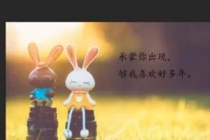 怎么在图片上写文字？