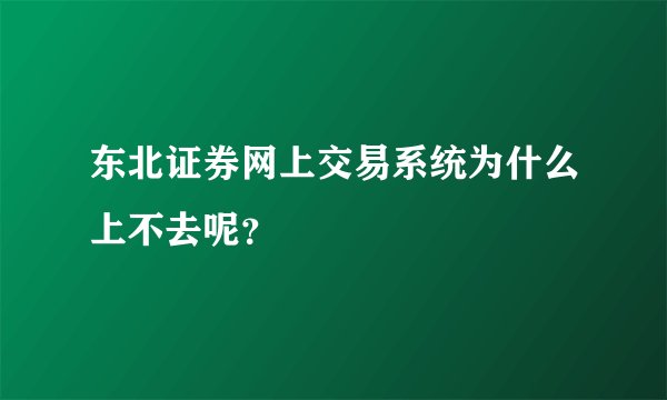 东北证券网上交易系统为什么上不去呢？