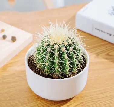 家里的空气污染严重，老师傅这样治理能多活20年