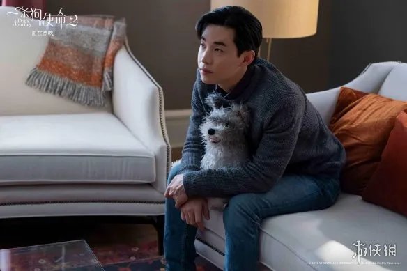 《一条狗的使命2》曝全新剧照 主演造型迎来“全光”