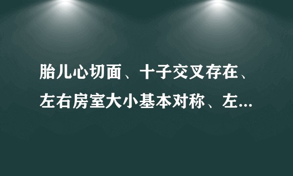 胎儿心切面、十子交叉存在、左右房室大小基本对称、左...