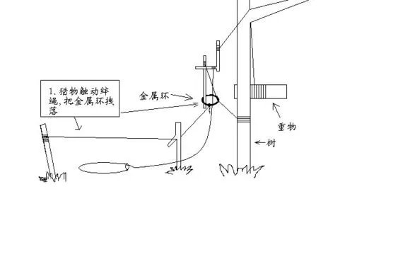 荒野求生设陷阱抓野猪的是哪一集