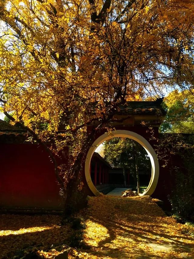 西安到汉中三日新手自驾游攻略有哪些？