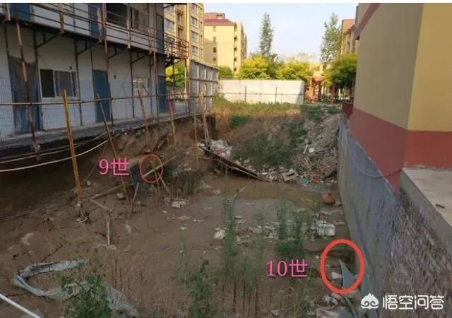 祖坟遗骨被抛洒，78位村民状告开发商索赔410万，怎么回事？