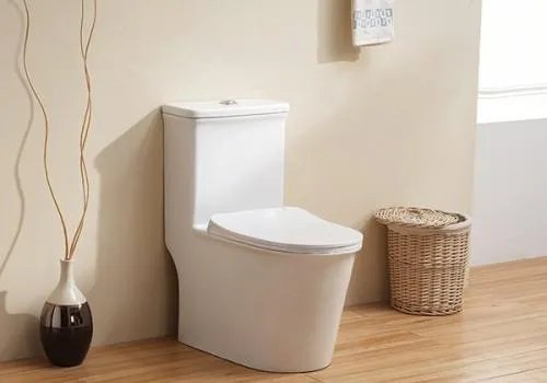 有移位器不可以用虹吸马桶