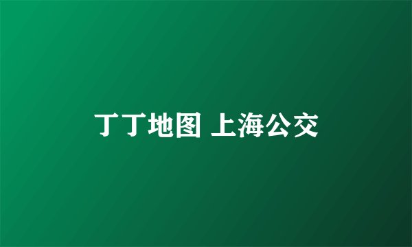 丁丁地图 上海公交