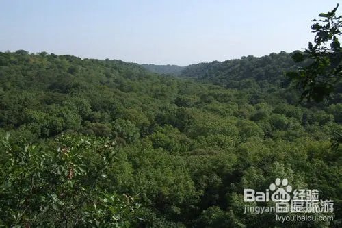 大青沟旅游攻略