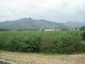 翁源有什么风景区吗?