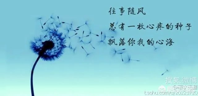 简奥斯丁写了世人羡慕的爱情作品，自己却孤独终老，是遗憾吗？