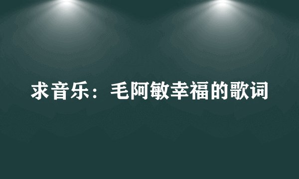 求音乐：毛阿敏幸福的歌词