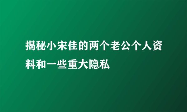 揭秘小宋佳的两个老公个人资料和一些重大隐私