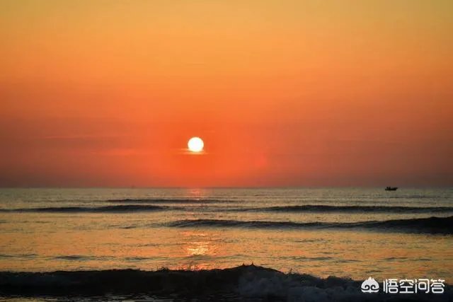 新手如何学习摄影？