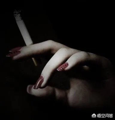 有哪些清新可爱的手机壁纸可以推荐？