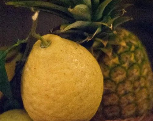 装修污染处理方法有哪些  五种治理方法助您快速入住新居