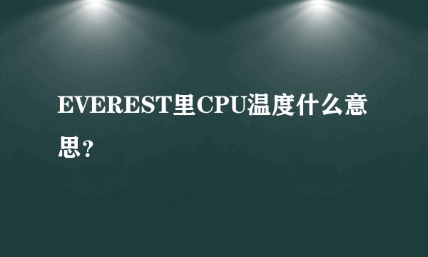 EVEREST里CPU温度什么意思？
