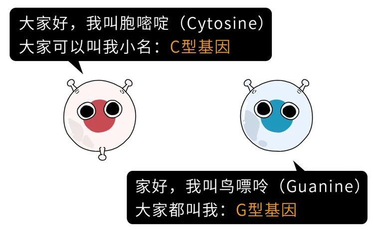 越来越多年轻人不愿意结婚，只可惜：单身久了，寿命更短