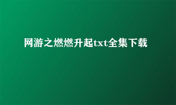 网游之燃燃升起txt全集下载