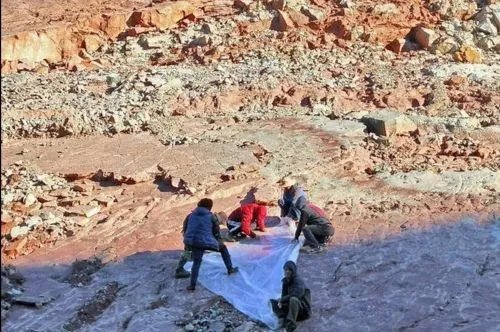 中国最大恐龙足迹点在四川，这一足迹点究竟有多大？