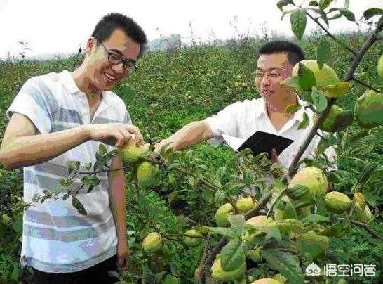 你怎么看待大学生村官？