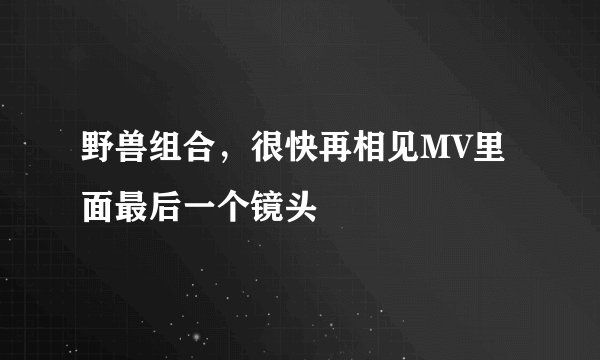 野兽组合，很快再相见MV里面最后一个镜头