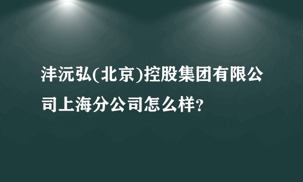 沣沅弘(北京)控股集团有限公司上海分公司怎么样？