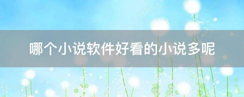 哪个小说软件好看的小说多呢