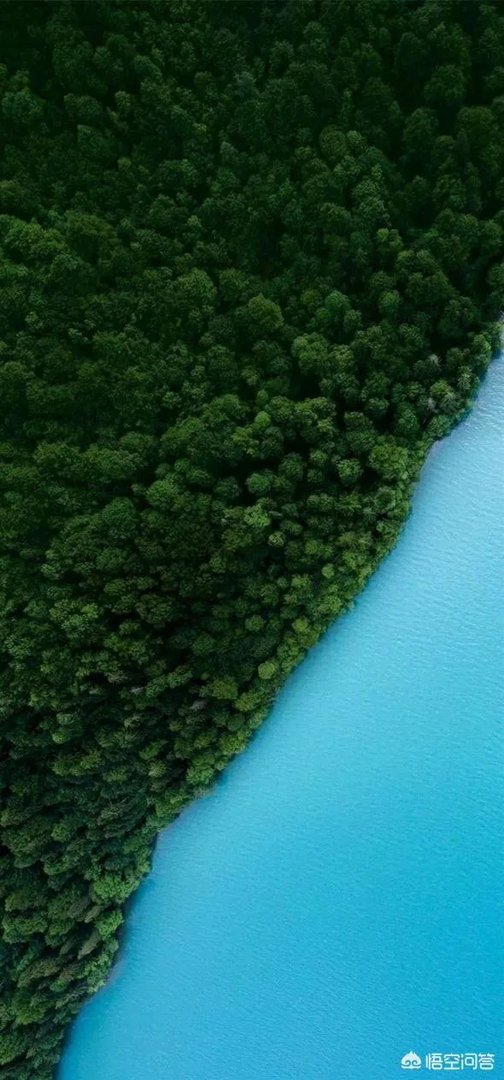 有哪些清新可爱的手机壁纸可以推荐？