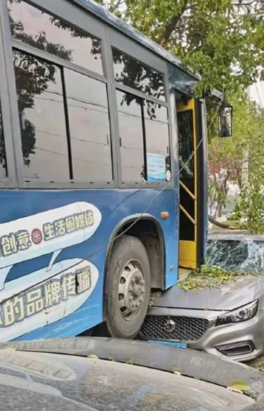 现场画面曝光！公交车冲入花坛司机身亡，是什么酿成了这起惨剧？