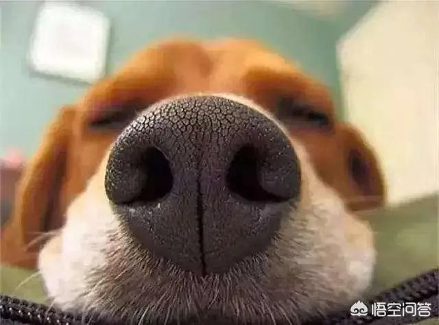 怎样分辨护肤品的好与坏？