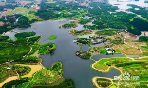 高州有什么好玩的地方景点