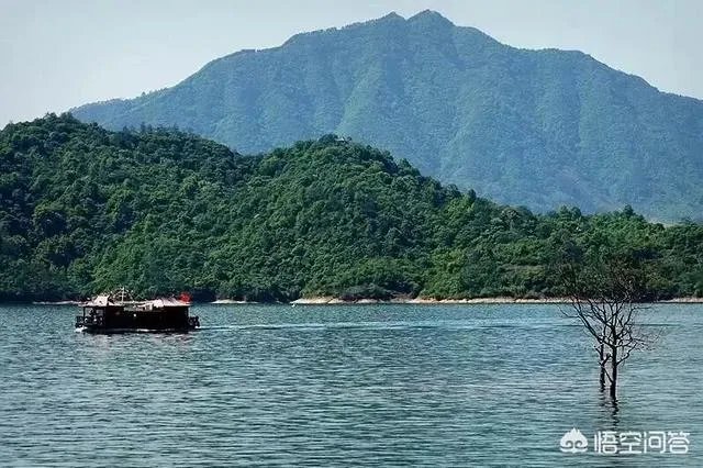 在你看来“江南四大名城”（南京、扬州、苏州、黄山）哪个最美？