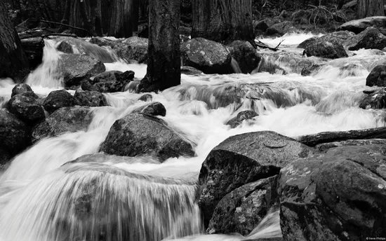 最新Win7官方RSS动态主题：各种形态的《水》