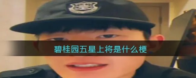 碧桂园五星上将是什么梗