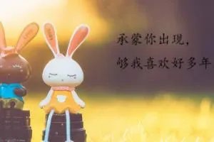 怎么在图片上写文字？