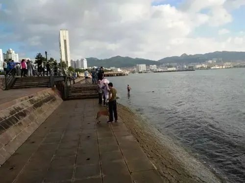 不幸！中国游客在韩国海水浴场溺亡，谁该为此承担责任？