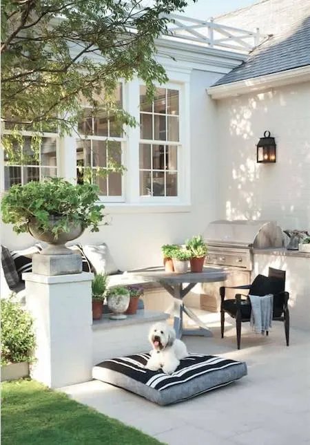 老来有个小院，不胜欢欣！