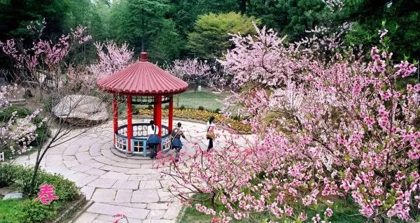 庐山一日游哪些景点可以去