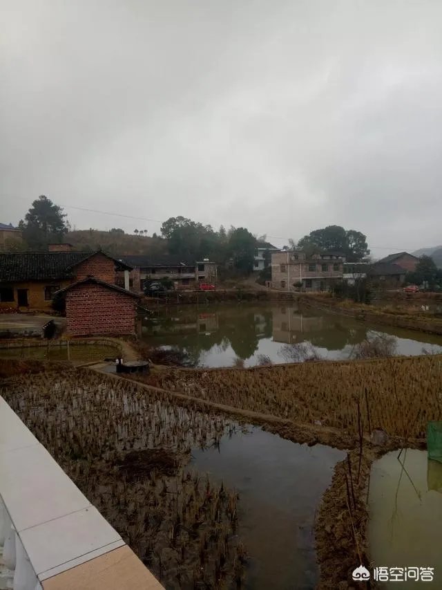 在你们本地,返乡农民工回家乡创业有哪些典型的成功人士?他们创业有哪些经验值得学习?