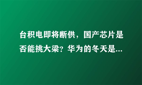 台积电即将断供，国产芯片是否能挑大梁？华为的冬天是否能过去？
