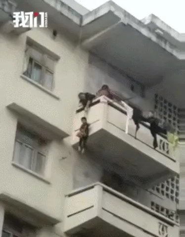 老人用绳吊7岁孙子下楼救猫，同是生命做法值得吗？