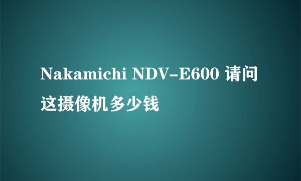 Nakamichi NDV-E600 请问这摄像机多少钱