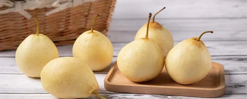 惊蛰吃梨有什么寓意 惊蛰为什么要吃梨