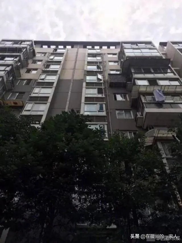 老人用绳吊7岁孙子下楼救猫，同是生命做法值得吗？