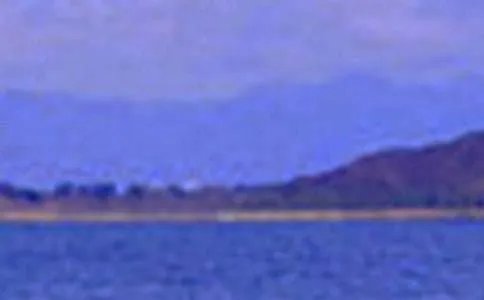 描写公园景色的作文