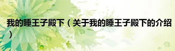 我的睡王子殿下（关于我的睡王子殿下的介绍）