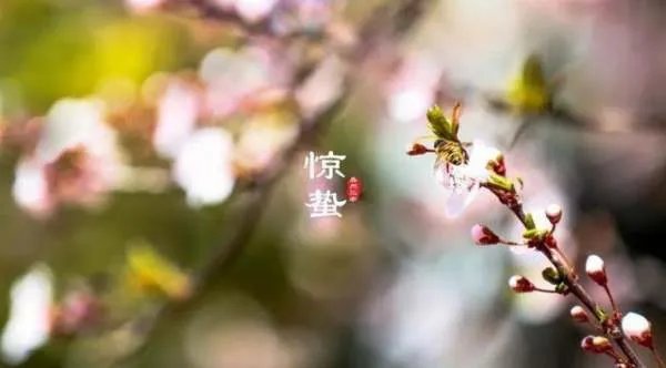 北方惊蛰吃什么传统美食