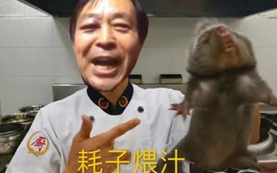 耗子尾汁公司于海南省成立，你怎么看？