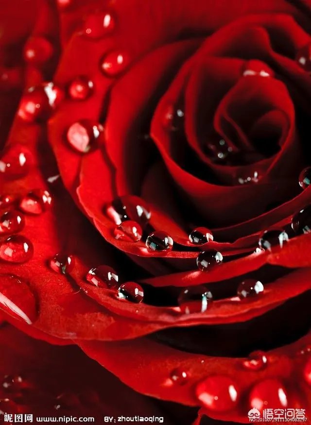 “520”期间，送老婆什么礼物比较好？