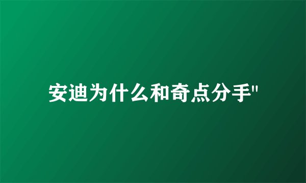 安迪为什么和奇点分手